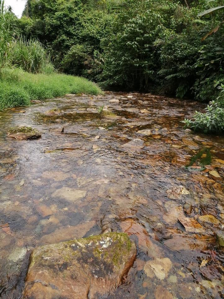 在广西大山深处，有太多漂亮的奇石了，你说那块最有价值呢？