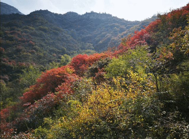 天赐山景区