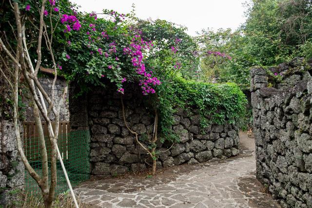 海口儒张村，看火山石屋，听数缸嫁女，解锁3大谜团