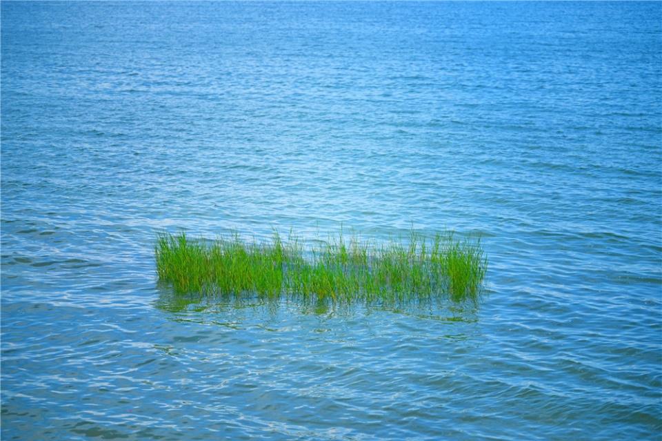 北海宝藏景区，风景如画，去过的人都说美！