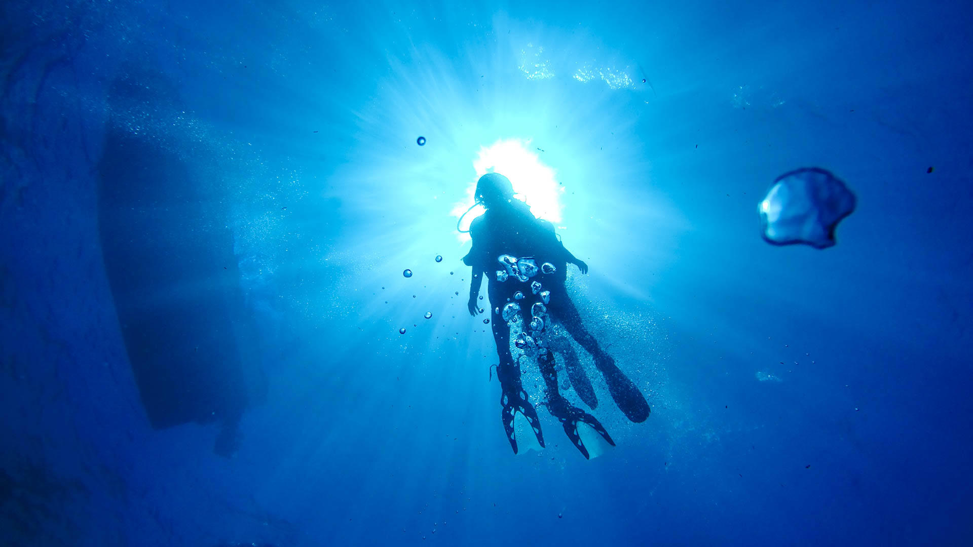 不止潜水，“菲”比寻常的宿务有万种美妙的玩法。