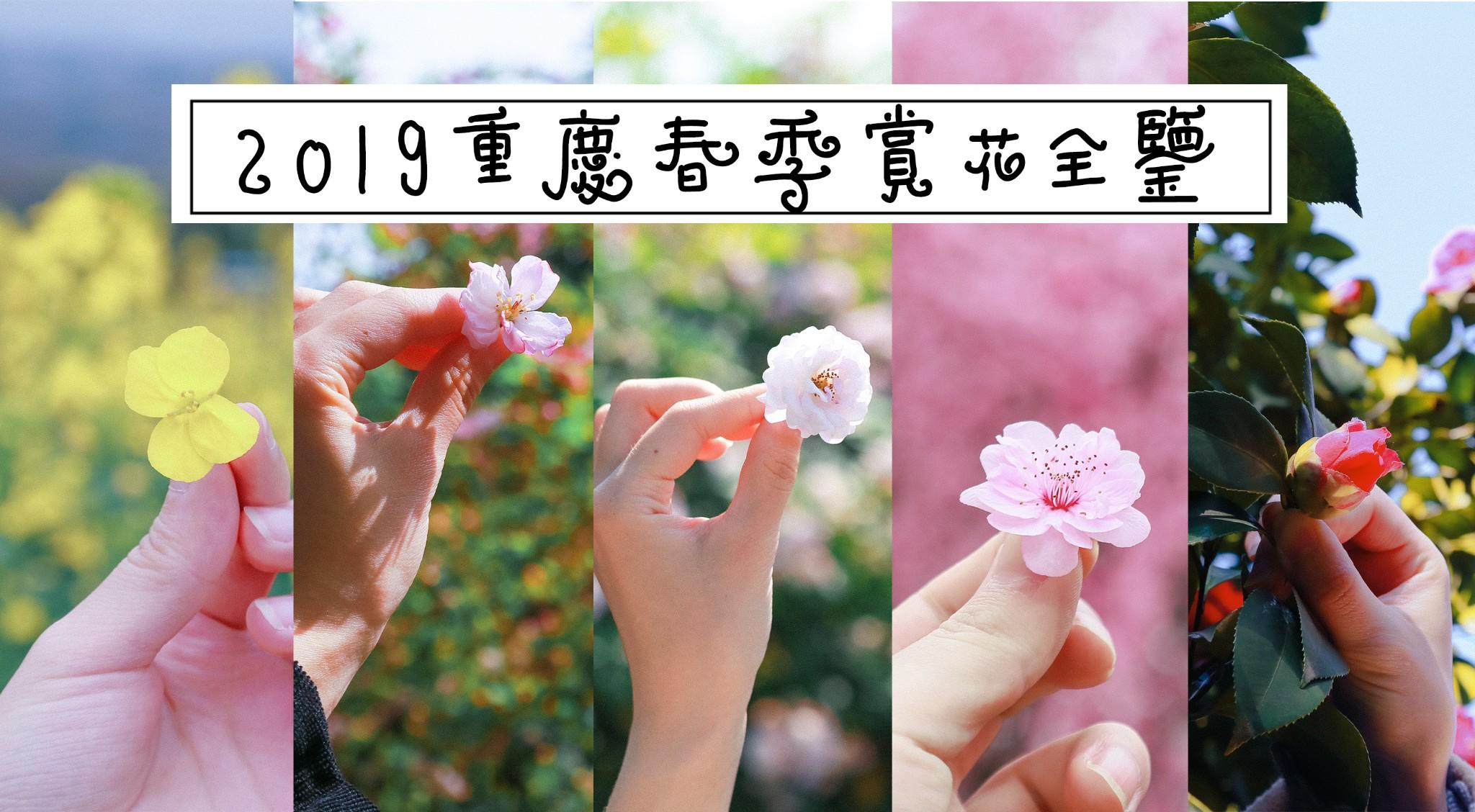 2019重庆低调赏花地出炉，跟我们来场寻香之旅吧！