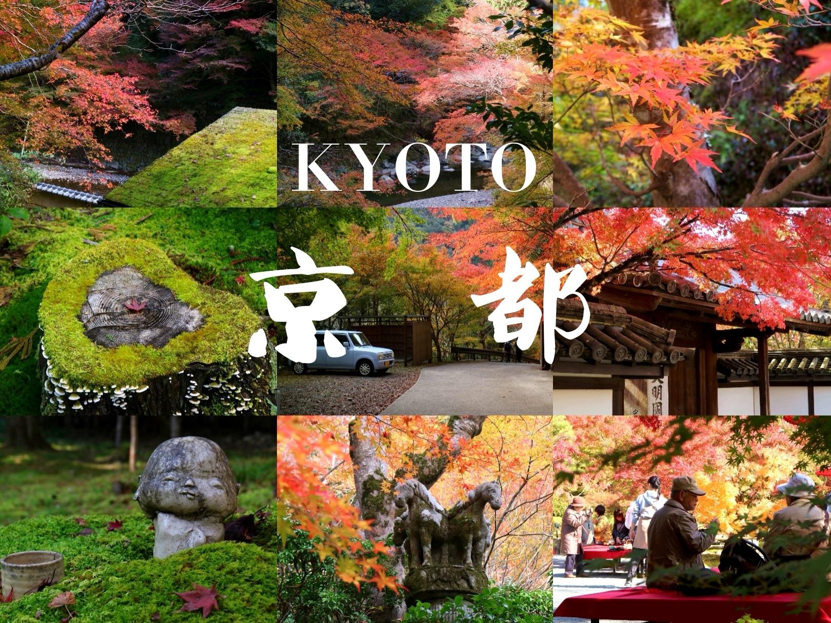 京都枫旅 | 凉风有信，去京都赴一场红叶狩（私藏小众追枫攻略）