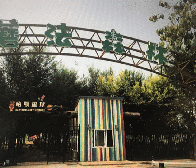 哈顿星球