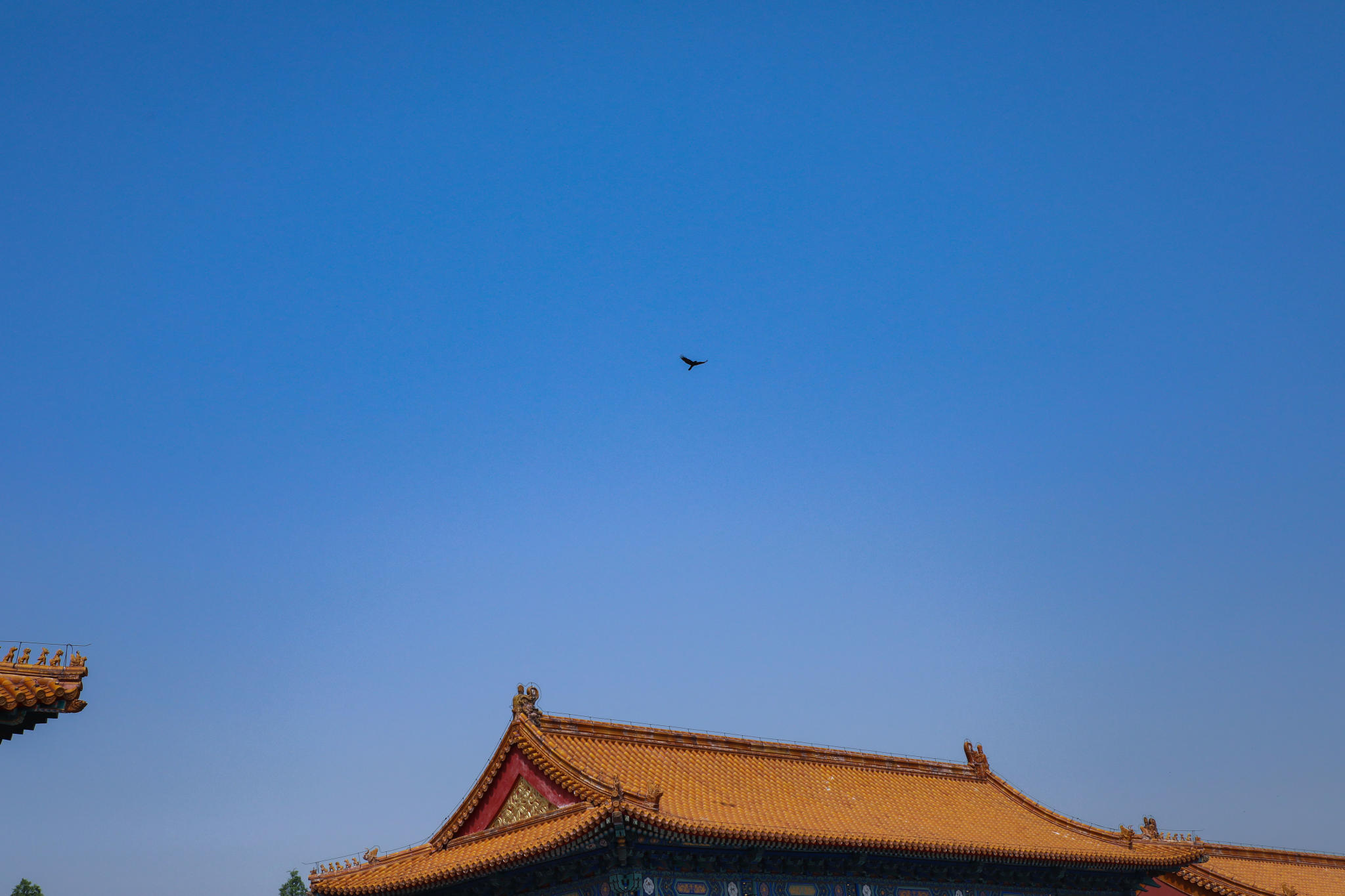 京城两日游，定格帝都记忆-北京故宫、南锣鼓巷、天坛、圆明园