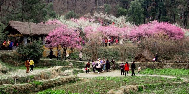 大美襄阳欢迎您——为参加襄阳抗疫的辽宁、宁夏勇士们的旅行订制