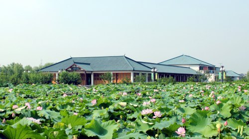 琵琶湾生态园