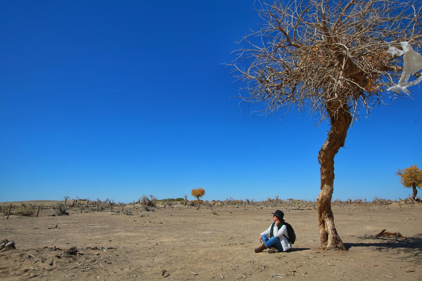 一路狂奔，向西绕个圈～十一黄金周自驾游