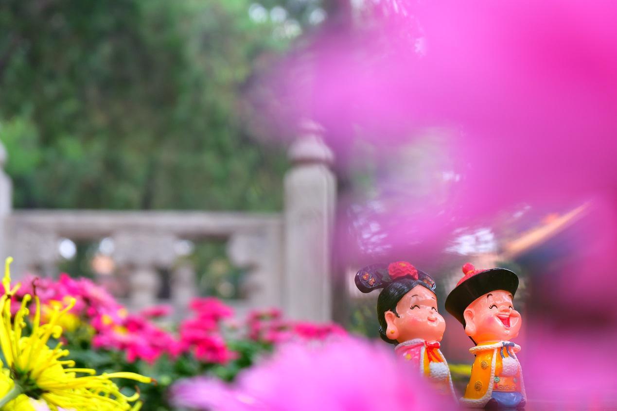 文末有福利|旅拍：陪伴胜过技术，真情重于器材