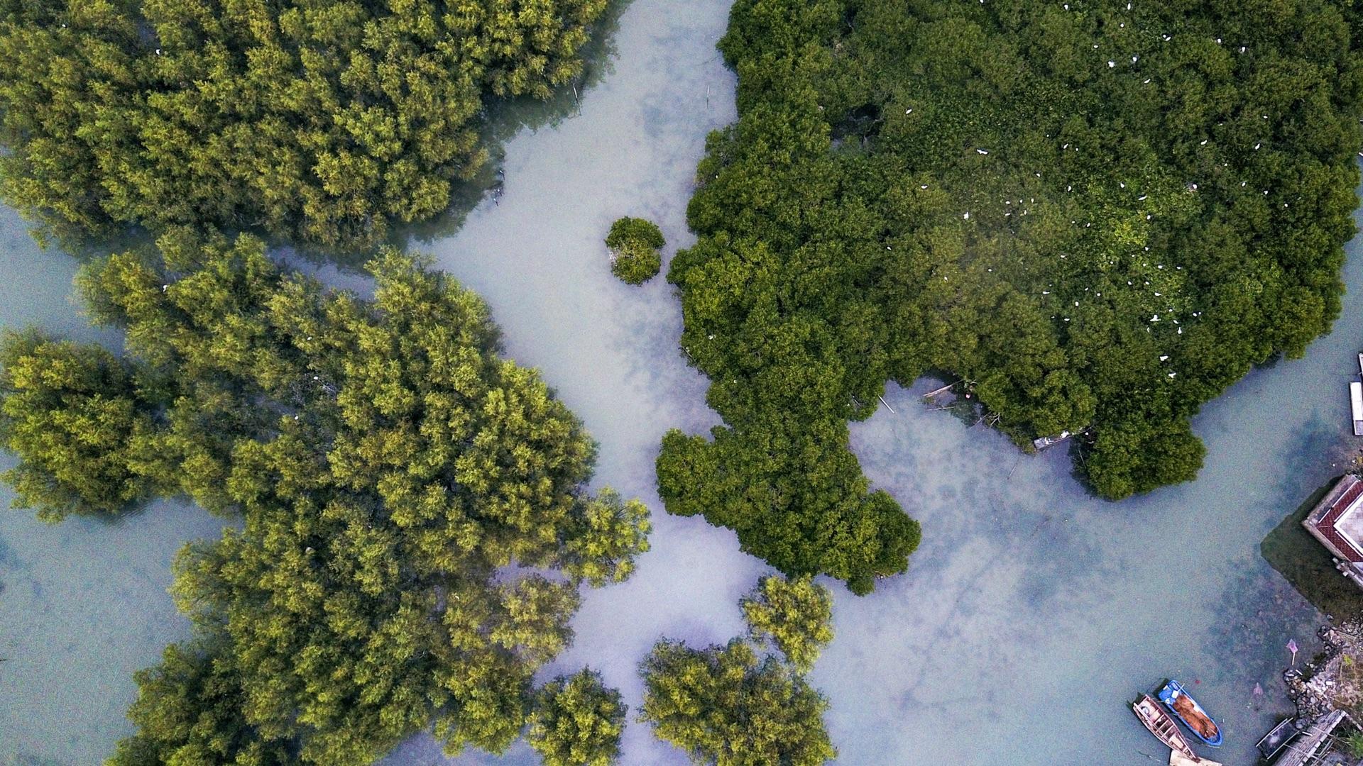 航拍看世界之2017春节自驾盐洲岛