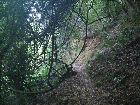 峨山旅游景点