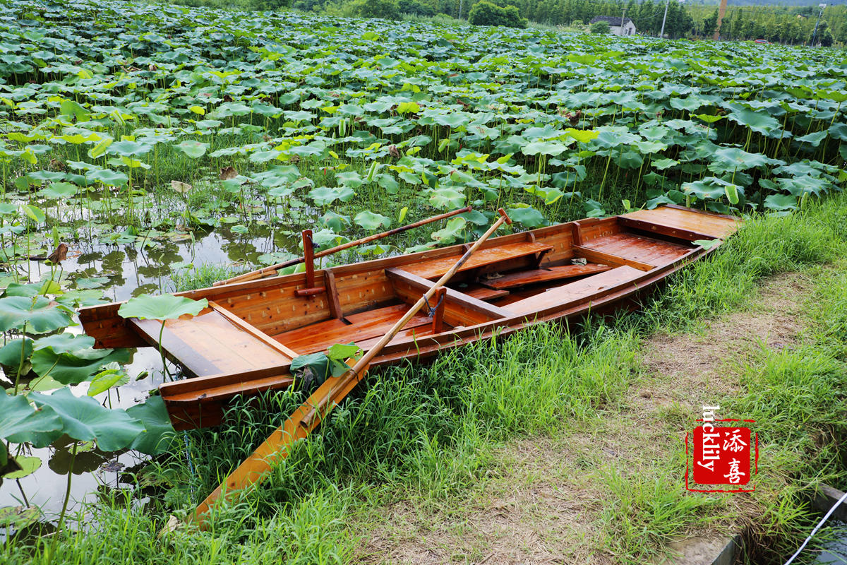 夏季宝藏美食地：绍兴上虞瓷源文化小镇，品味盛夏限时“荷花宴”