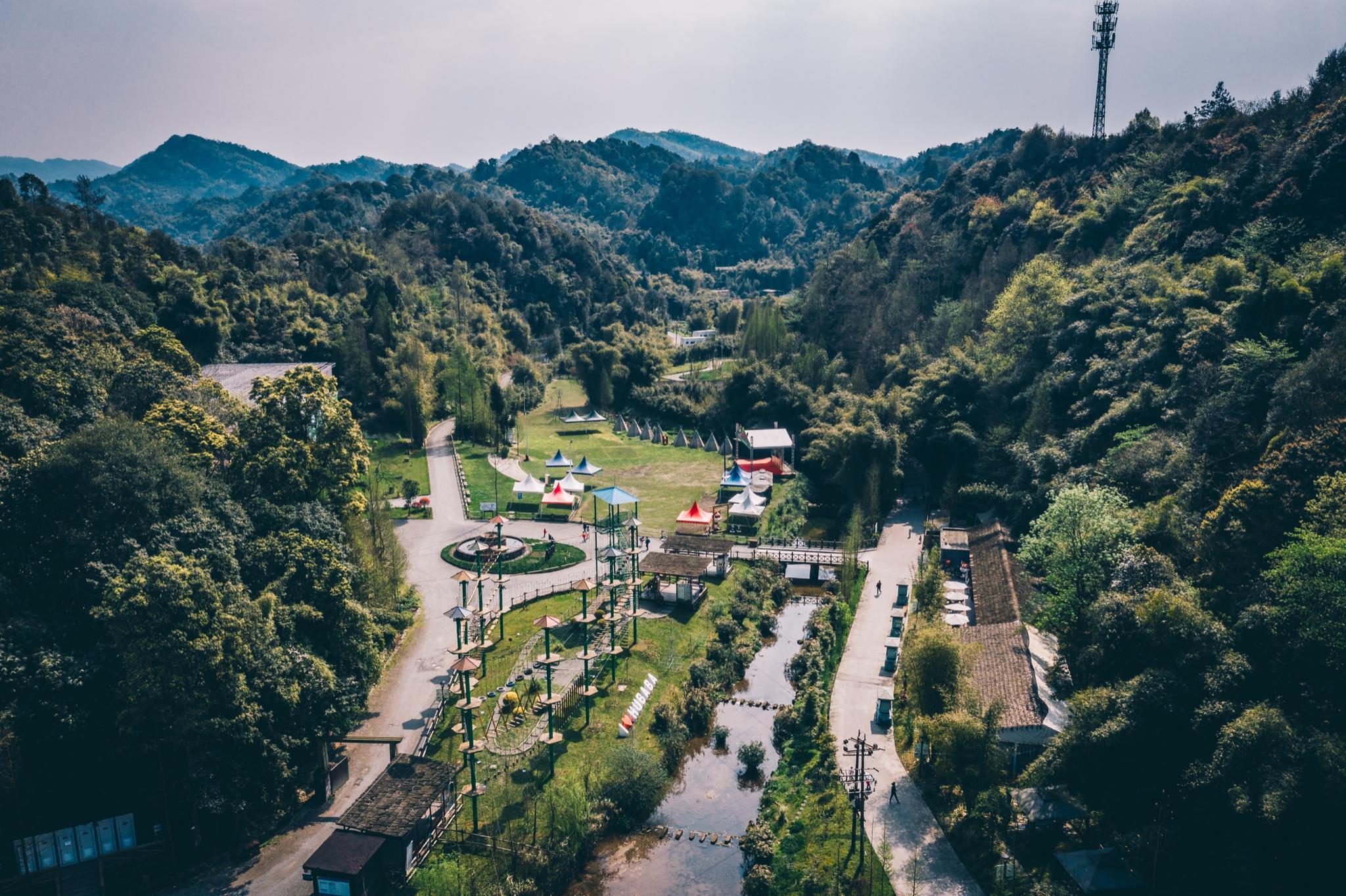 成都周边亲子游|带孩子回归自然，住进精灵的树屋里