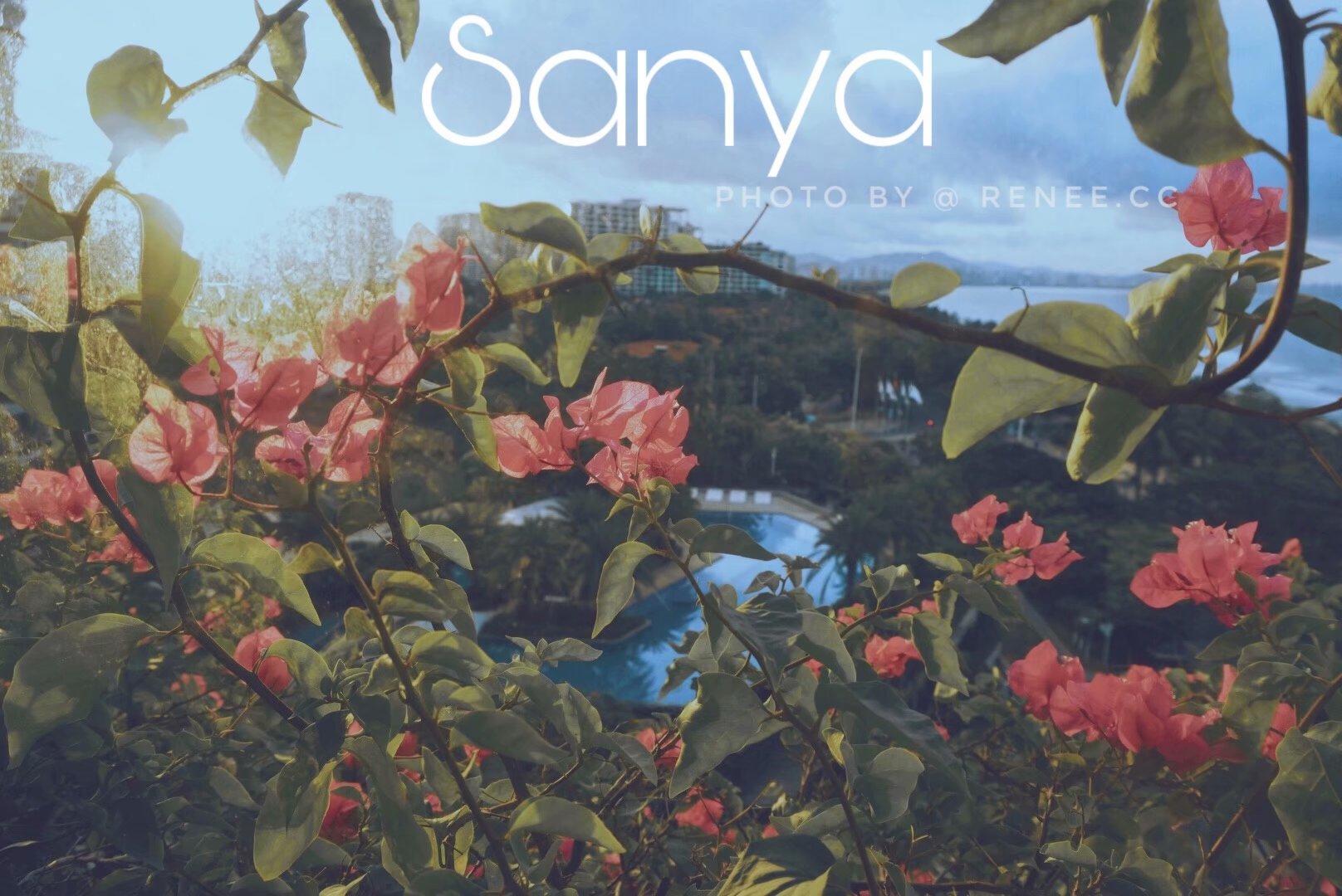 夏日终曲|你是北纬18'温度33°的我不曾到过的三亚啊