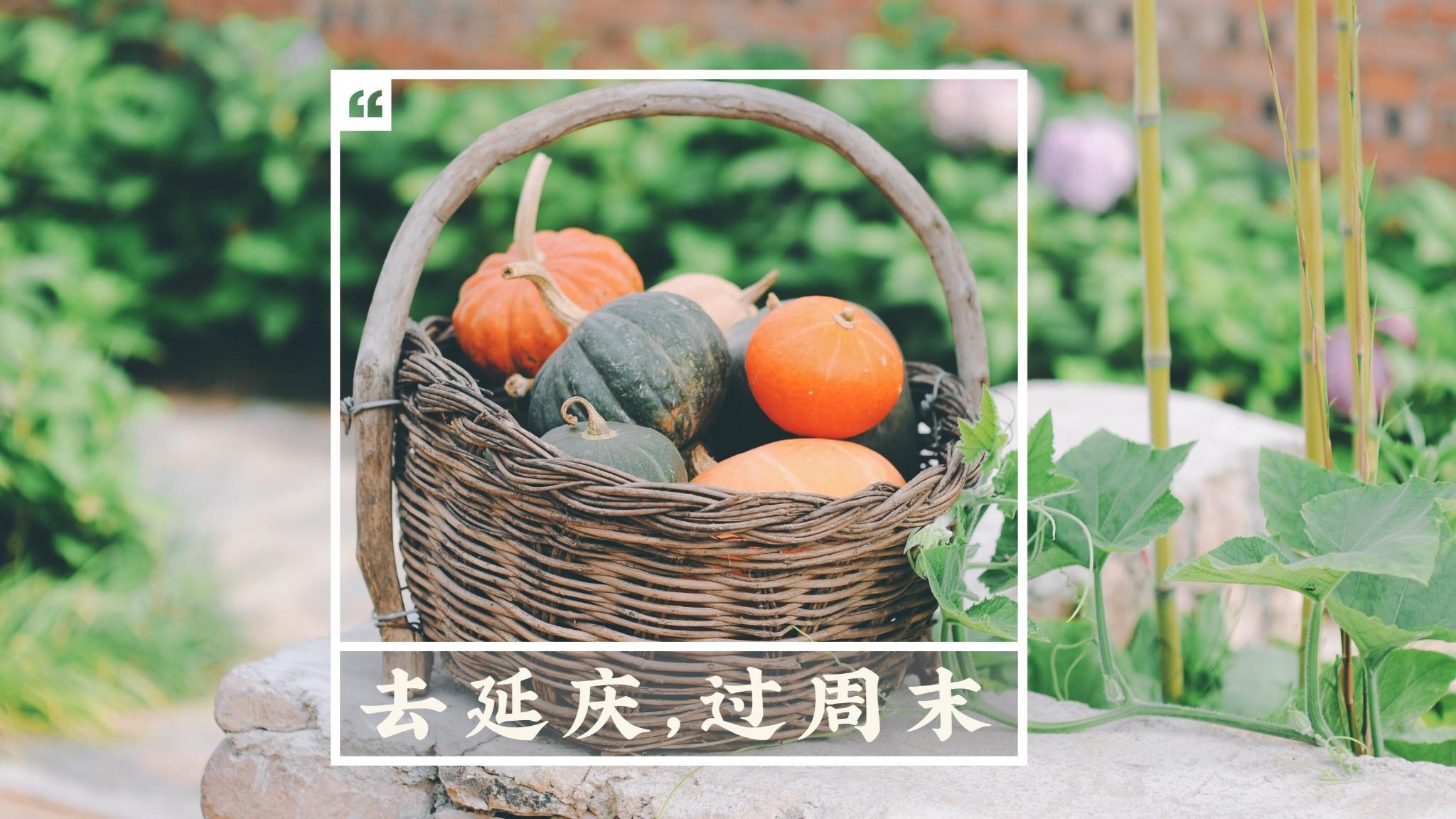 去延庆，过风景之上的田园生活