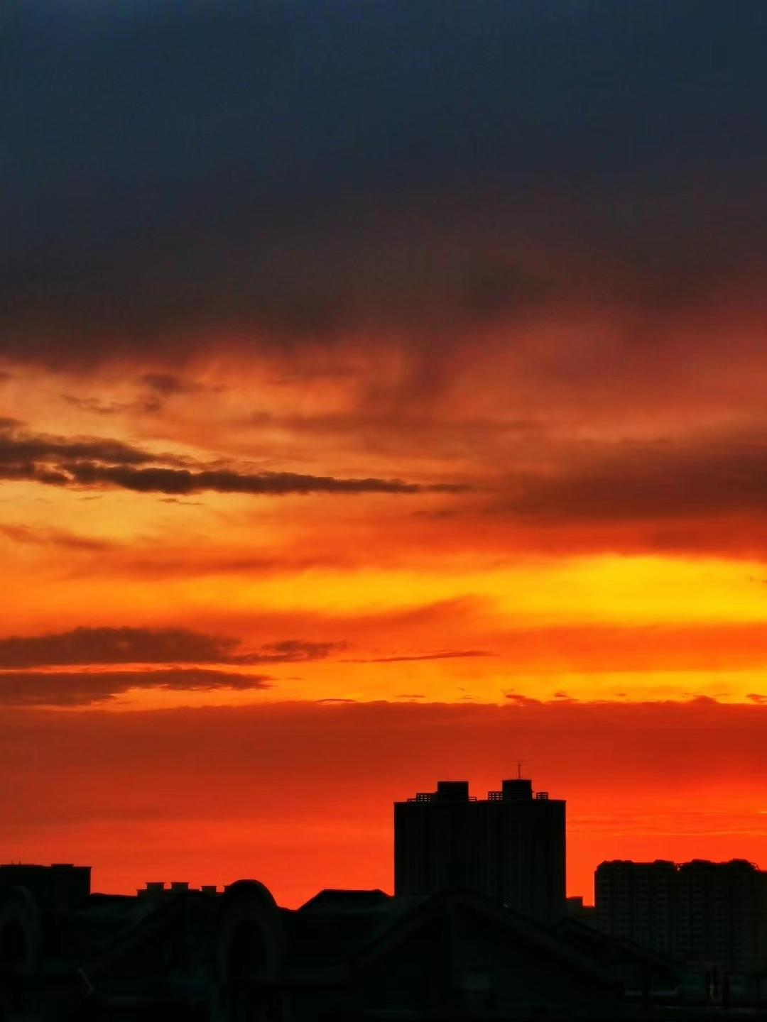 678三个月，是属于新疆伊犁西天山的