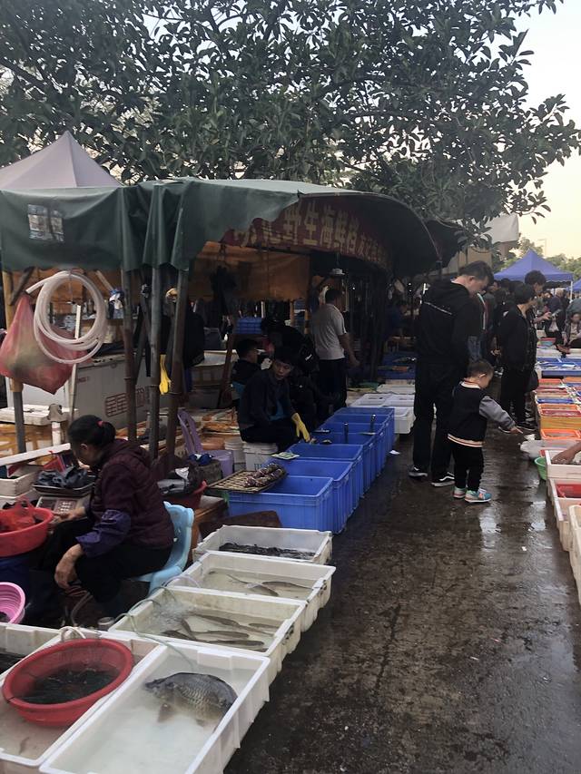 沙田先锋海鲜市场