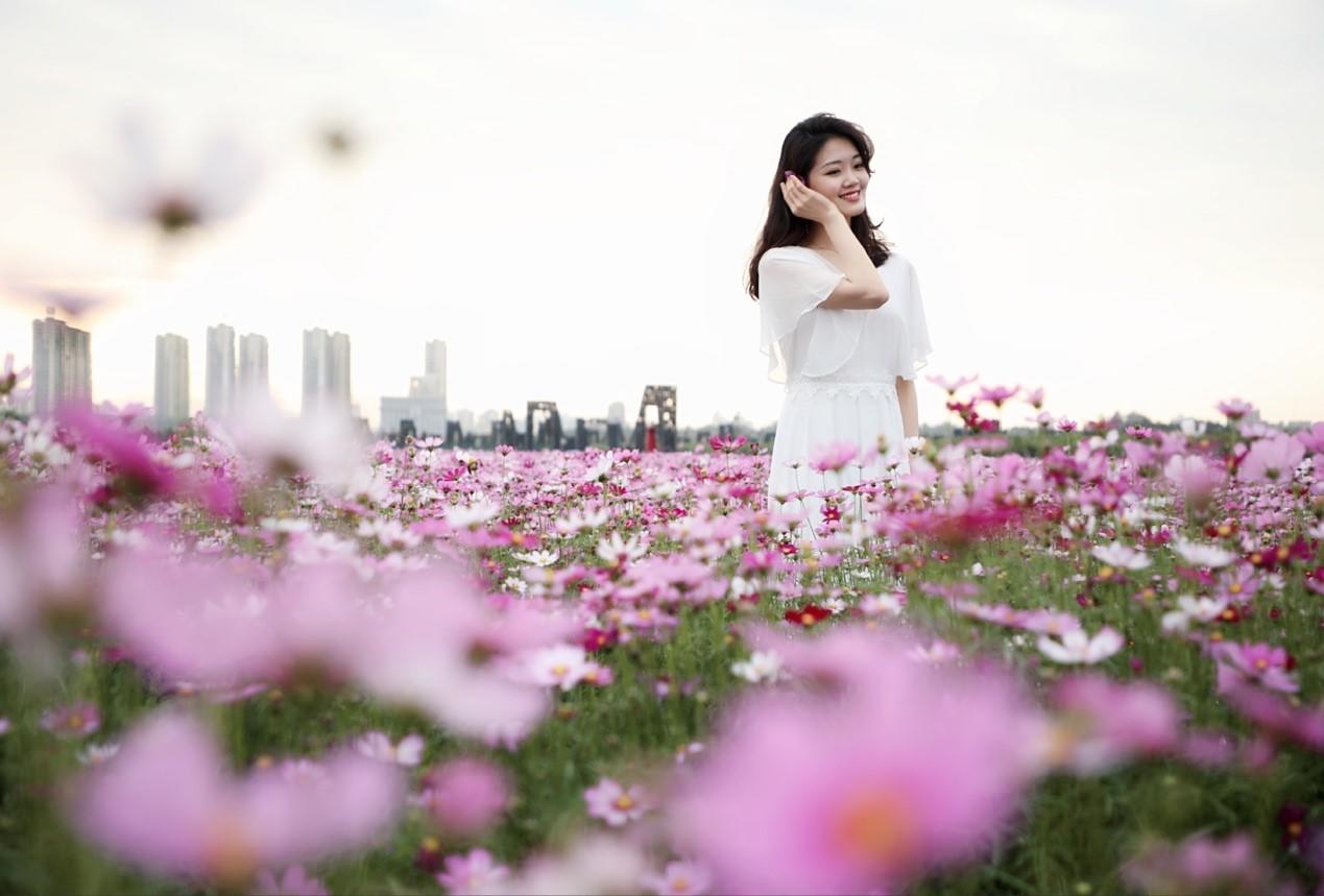 【椰风海影】时间很慢，阳光很暖，海南竟藏着一个龙寿洋万亩花海