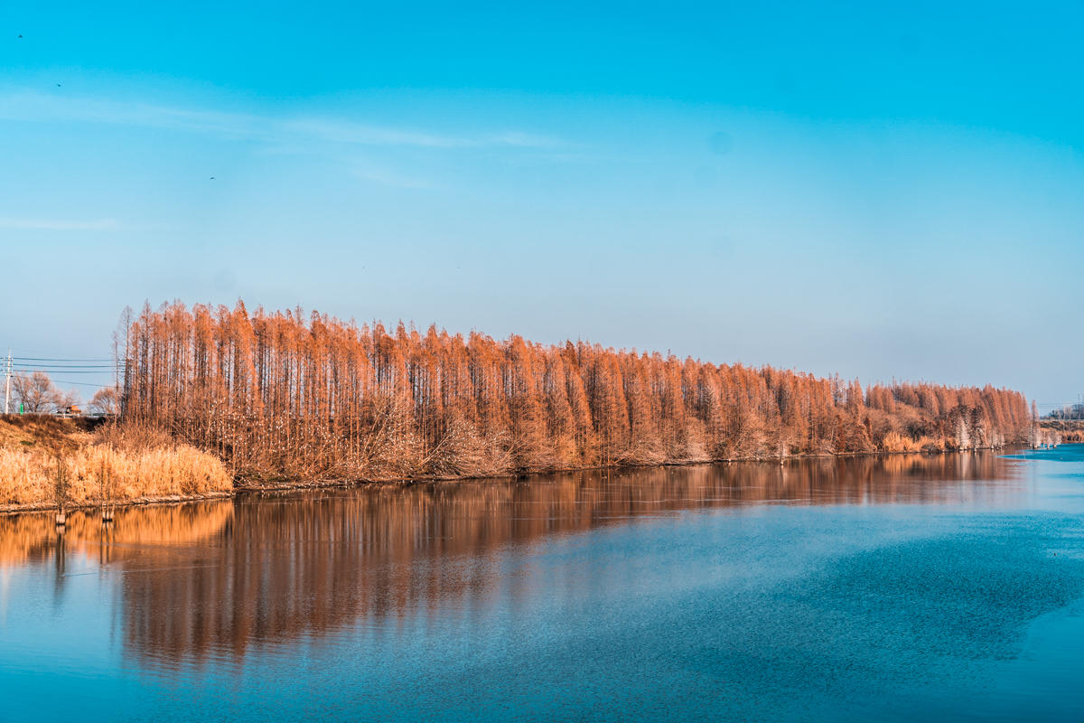 冬游溧水｜百里秦淮的源头竟然这般魅力！