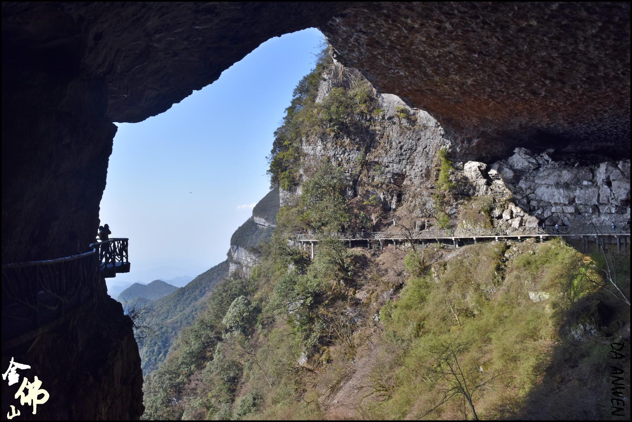 再游金佛山——花还未开，我仍然在