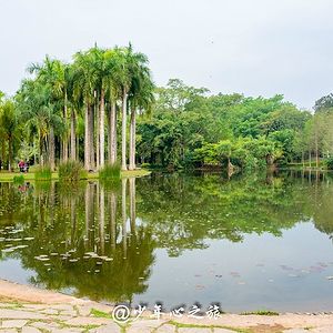 西双版纳热带雨林国家公园望天树景区