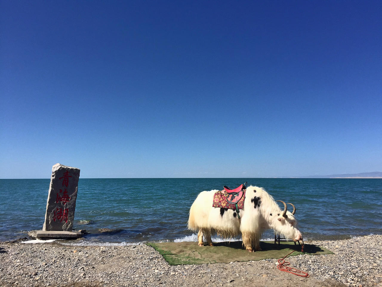 俩美女带队的“8天7晚青甘大环线自驾游”
