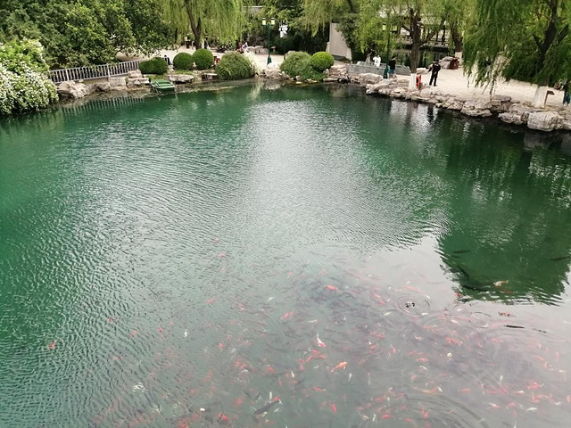 一家三口五龙潭公园门票免费飘渺瑞云13篇点评我要点评济南景点排名第