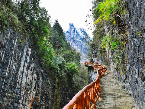 鹿院坪旅游景点图片