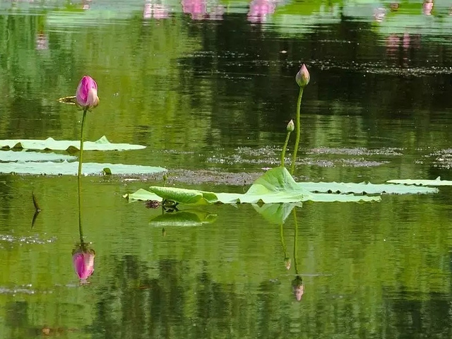 哈尔滨雨阳公园