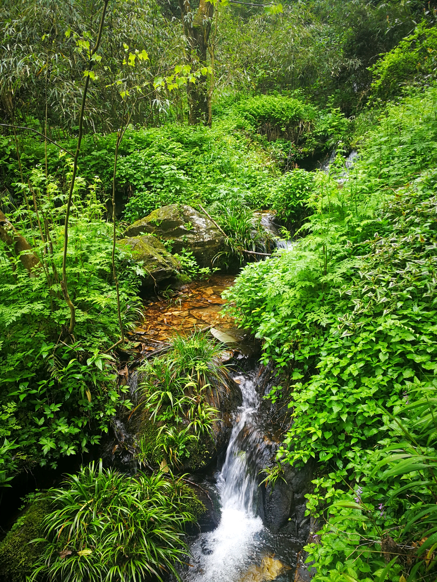 武冈云山挑战极限