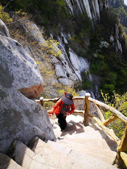 嵩山风景图 认真爬山