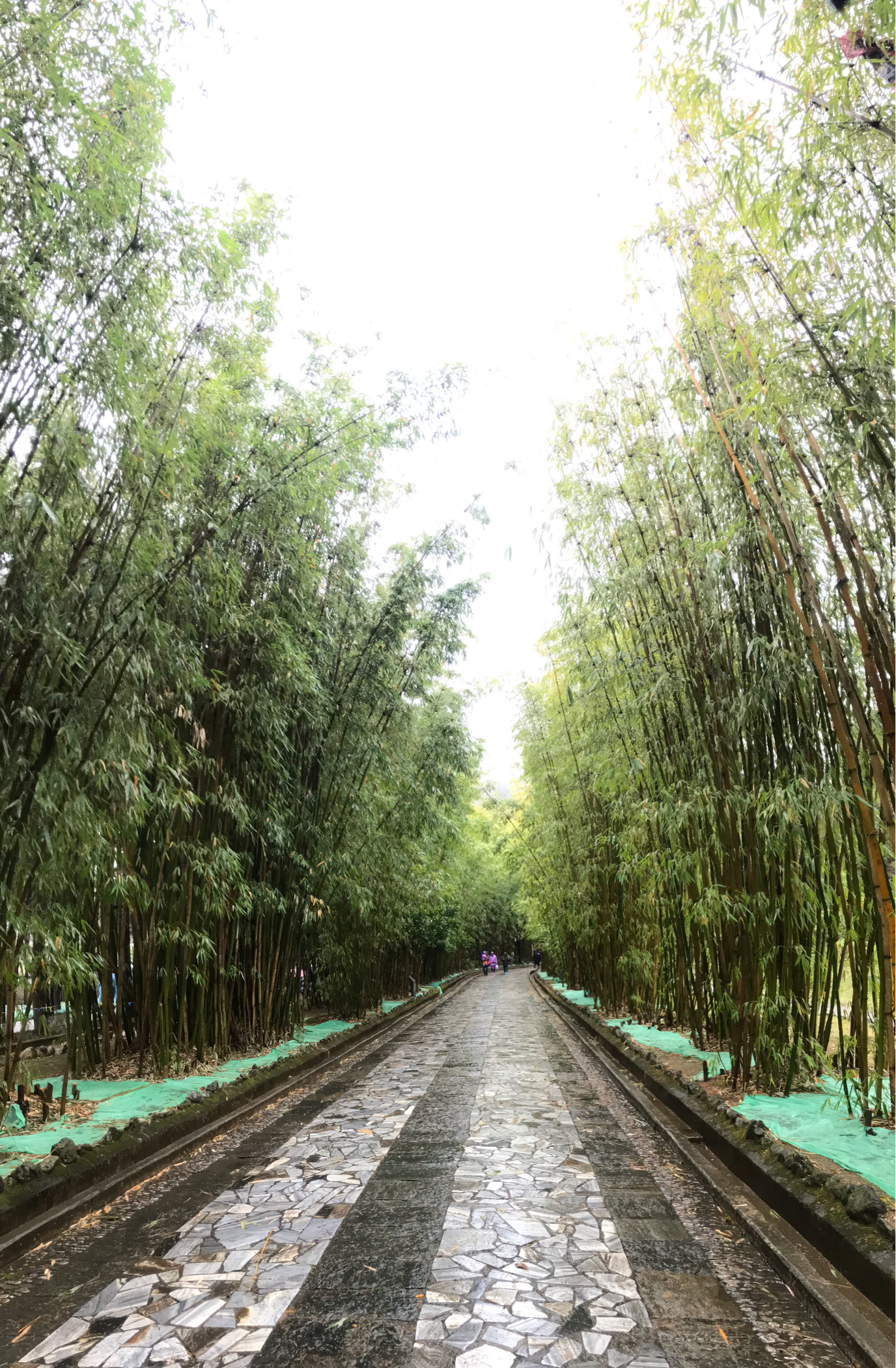 天气无常,竟然下起了雨.第一站到的是蝴蝶泉.还好带了帽子和伞.