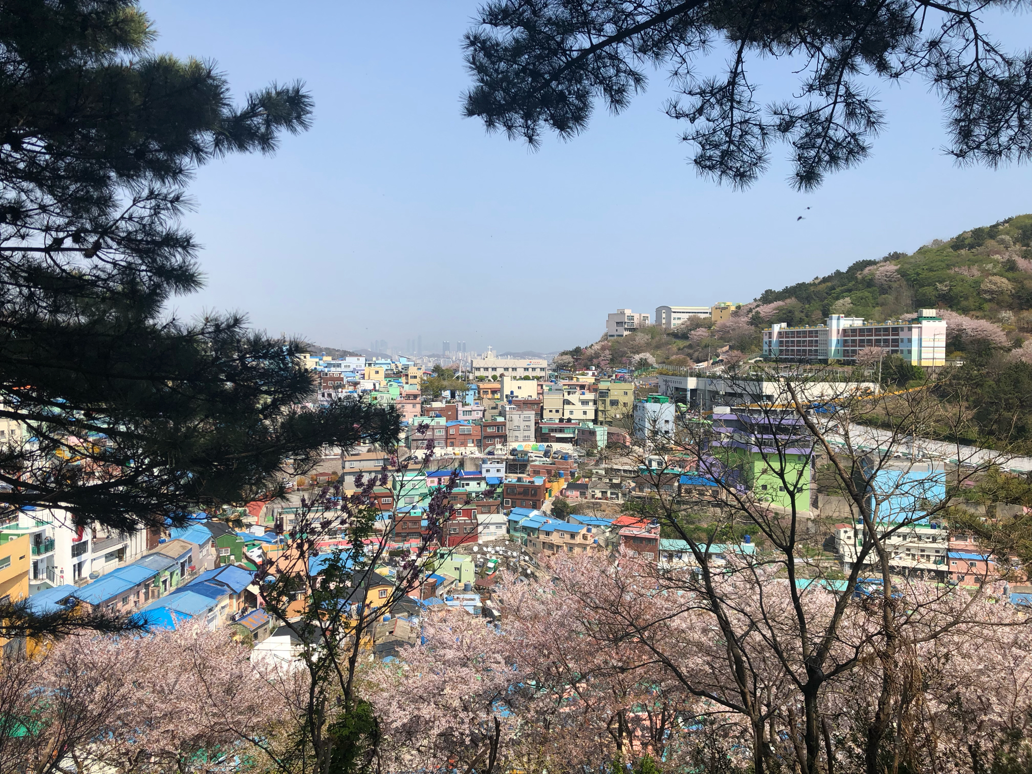 釜山1日游