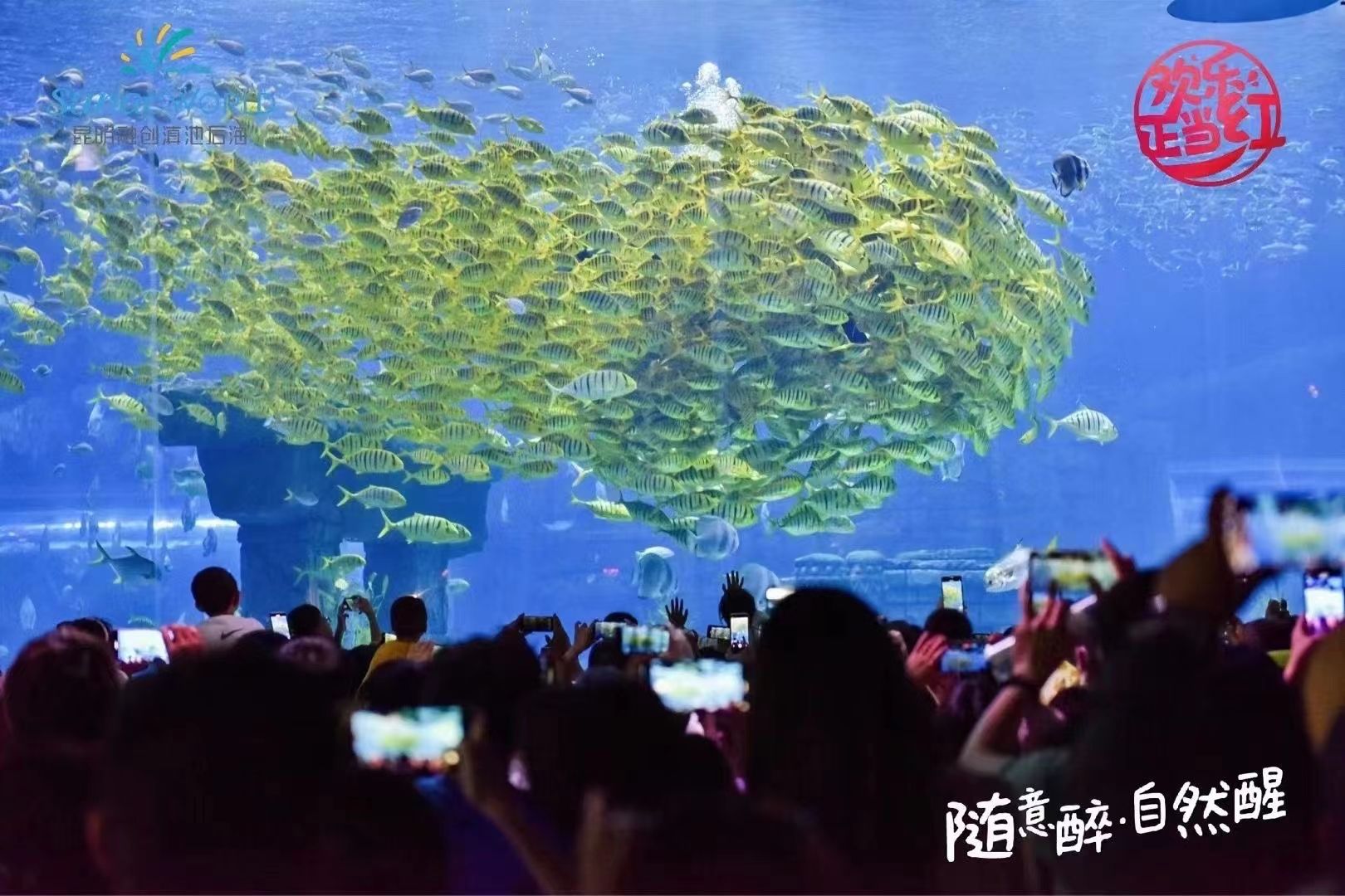1日游-昆明旅游攻略-游记-去哪儿攻略