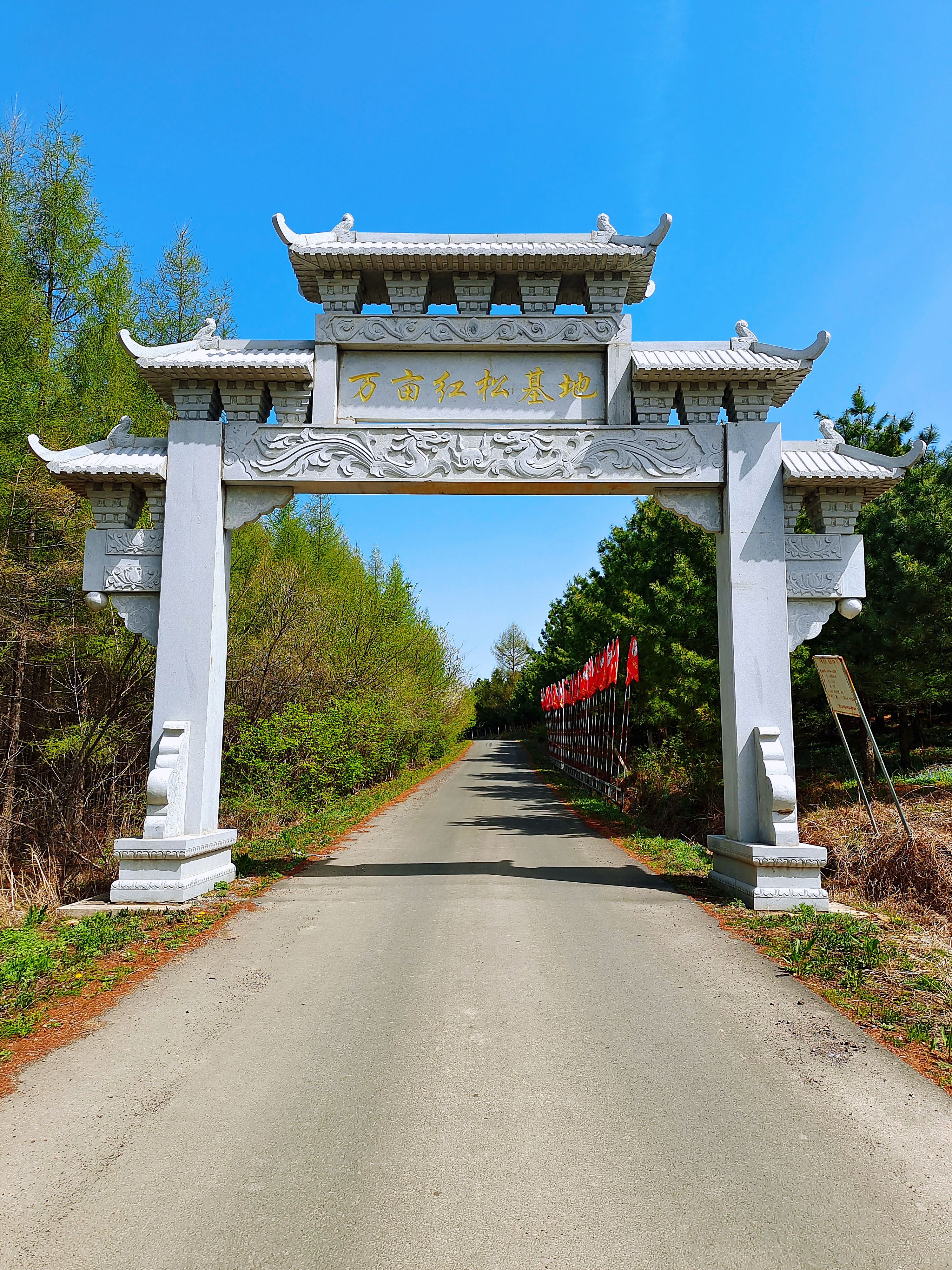 万亩红松基地