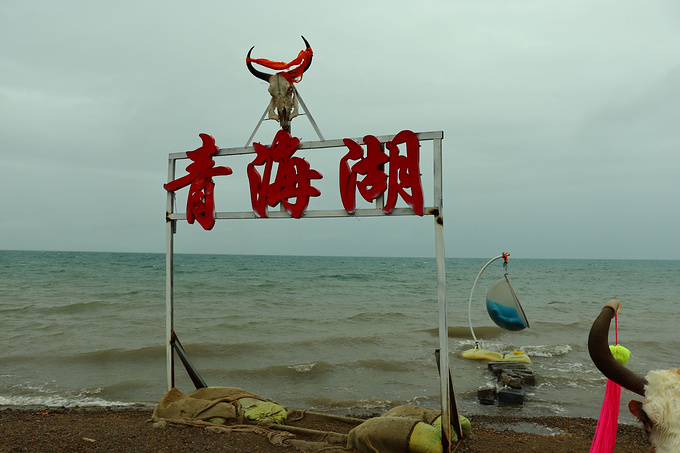 门票价格:青海湖151景区门票价格:100元/人  青海湖鸟岛门票:118元/人