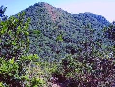 深圳排牙山，三面环海，山石嶙峋，景色极佳