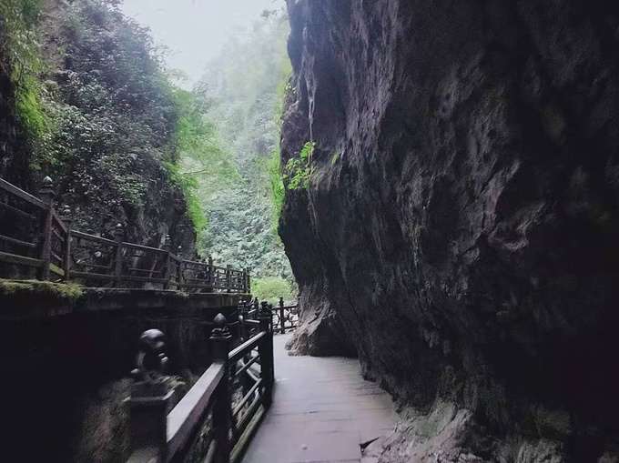 徒步:从报国寺开始伏虎寺雷音寺清音阁一线天(很美)猴山(峨眉灵猴