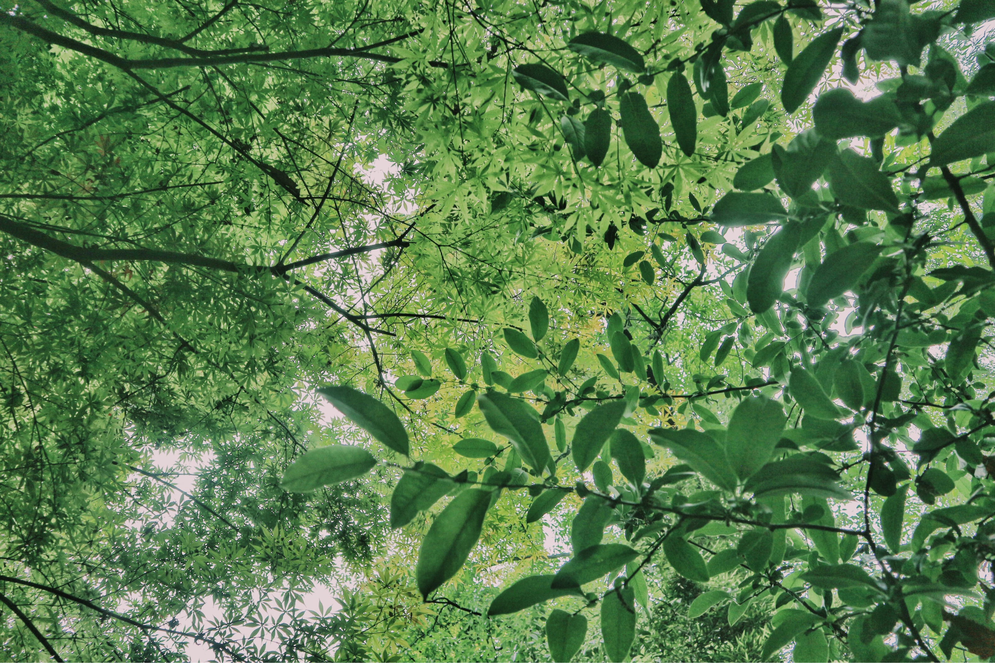 赴一场大海之约