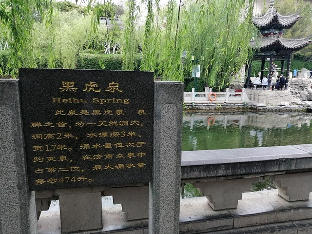 黑虎泉像一条护城河穿梭于济南市内不像趵突泉和五龙潭是以公园形式
