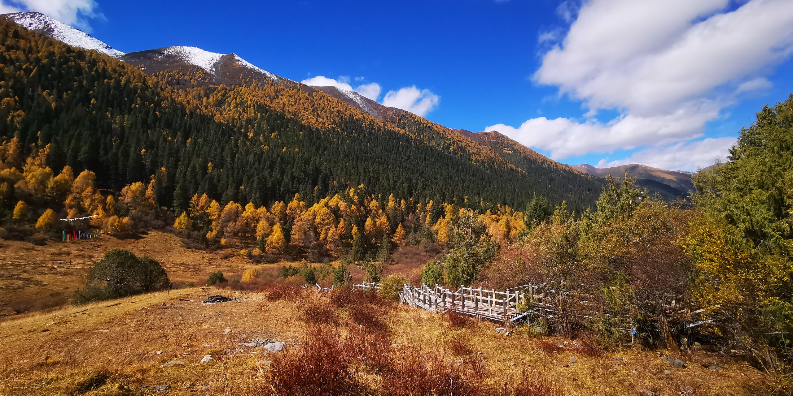 2.寻寻觅觅川西彩林--情人海