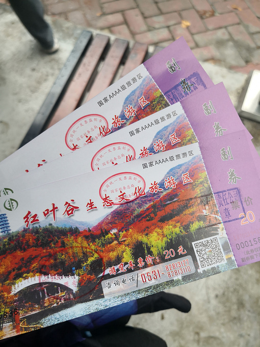 红叶谷图片
