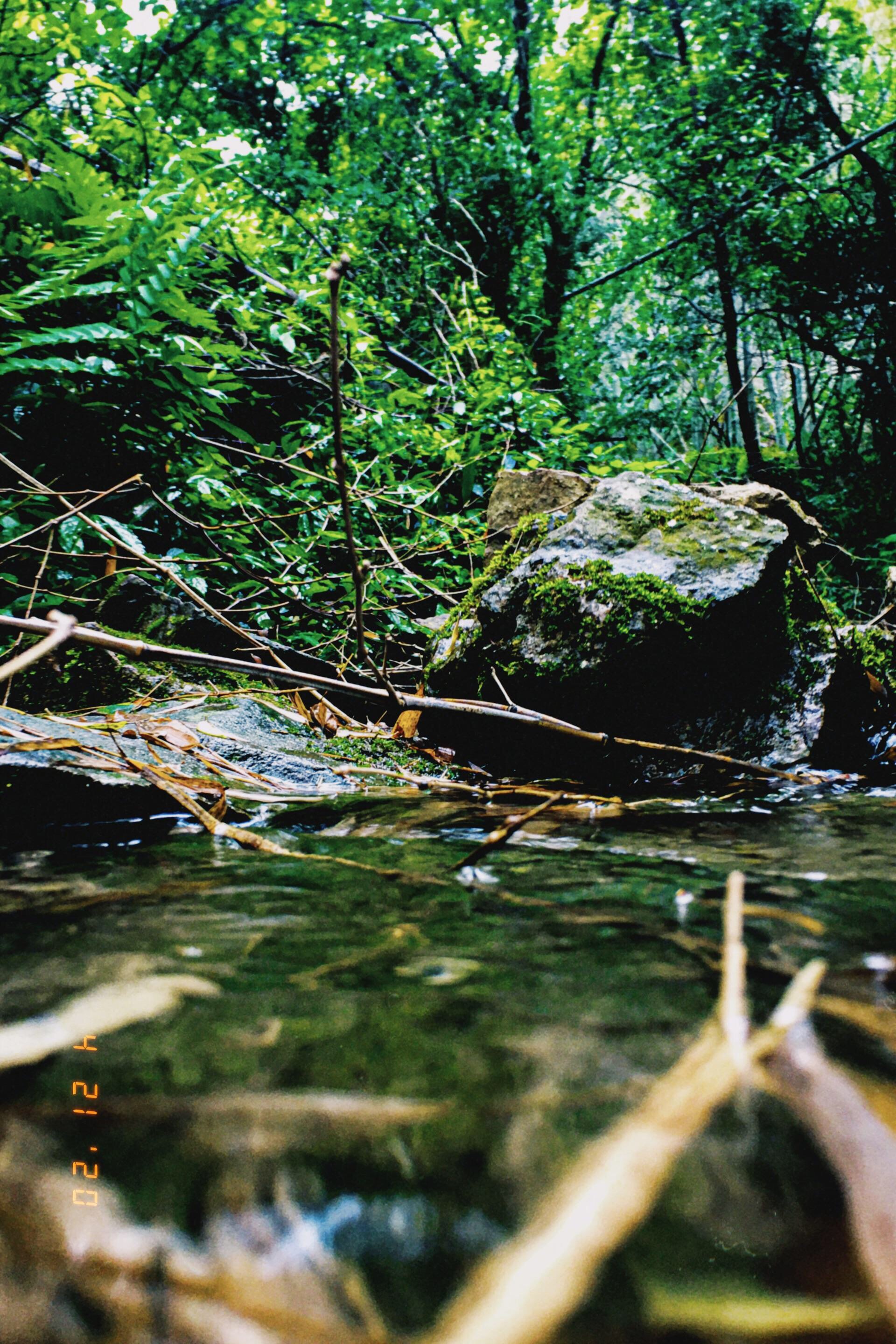 周末踏青你的首选好去处“山山水水避暑胜地”我非常爱了