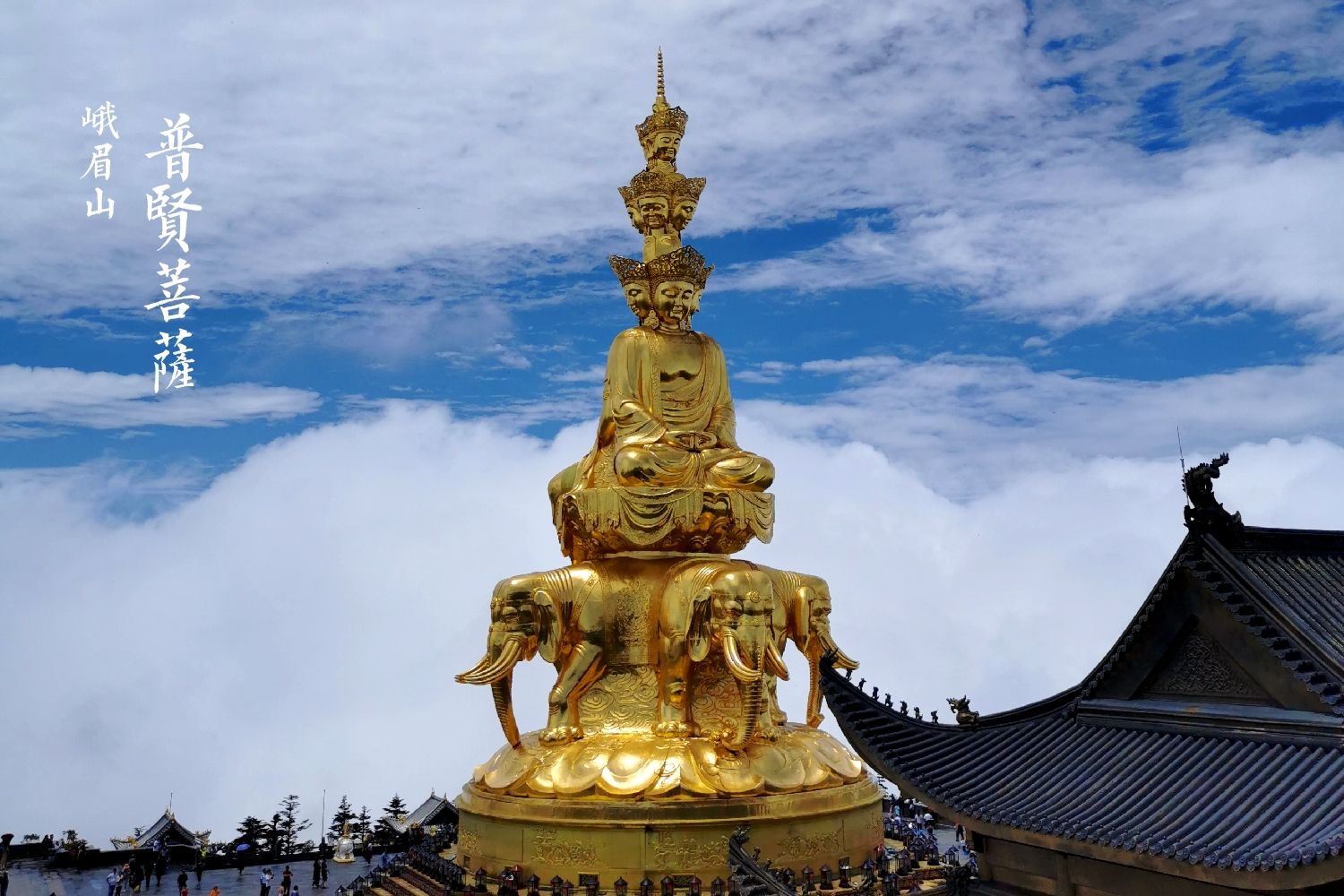 炎热夏季，西安到峨眉山一日游➕乐山成都五日游自由行