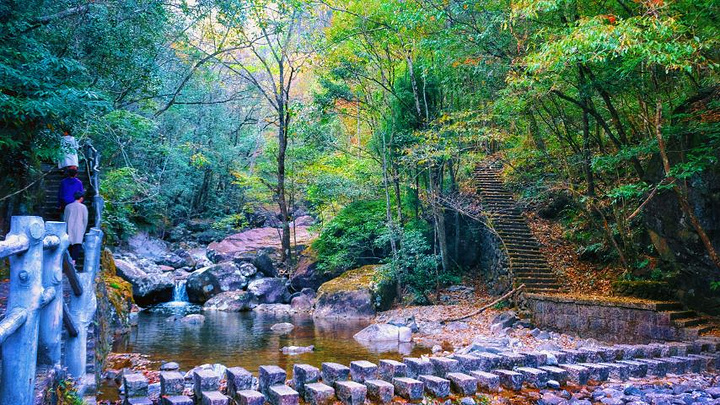 乌岩岭国家自然保护区,国家aaa级旅游景区 地址:浙江省温州市泰顺县