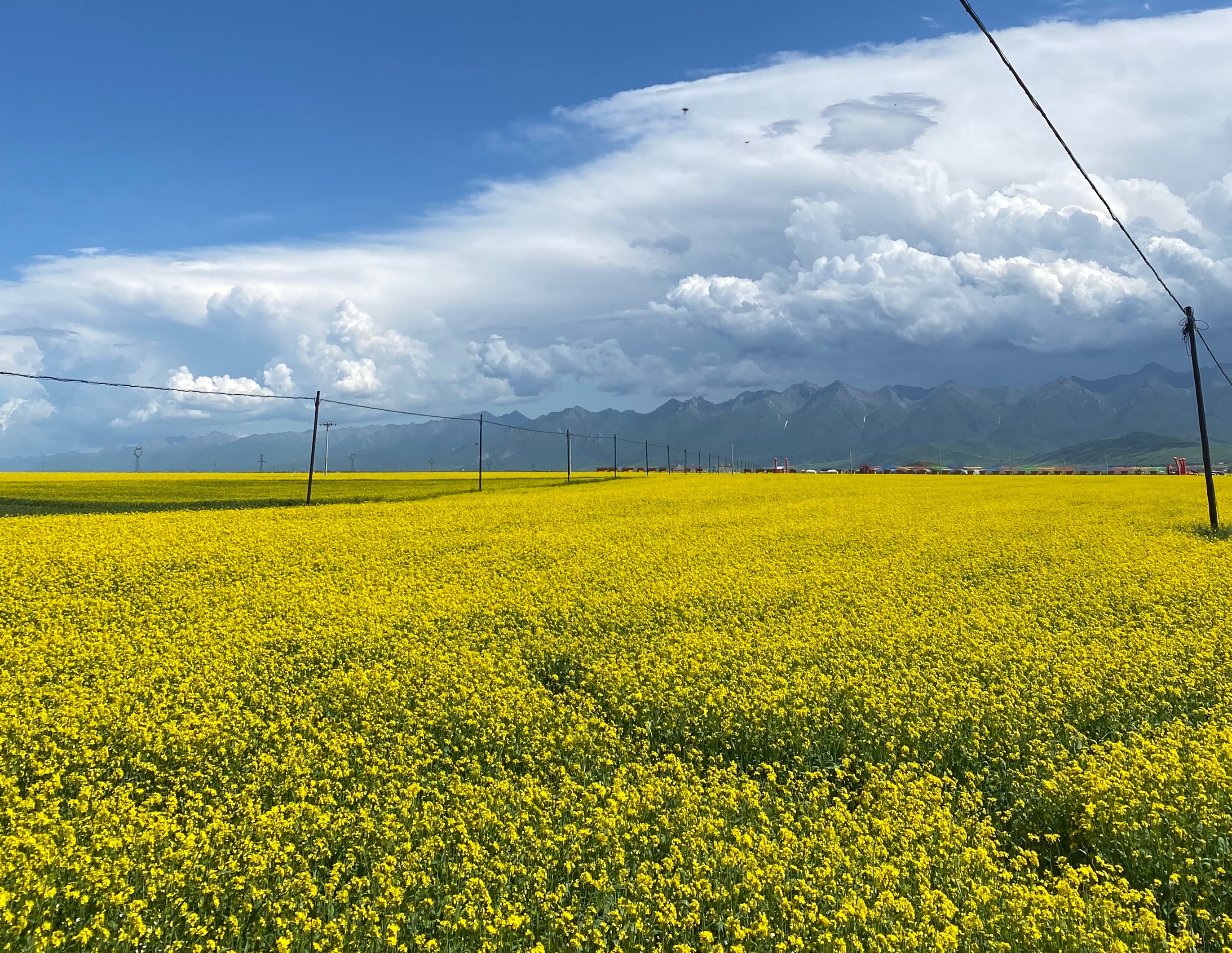 9天青甘大环线自驾并2天西安自由行