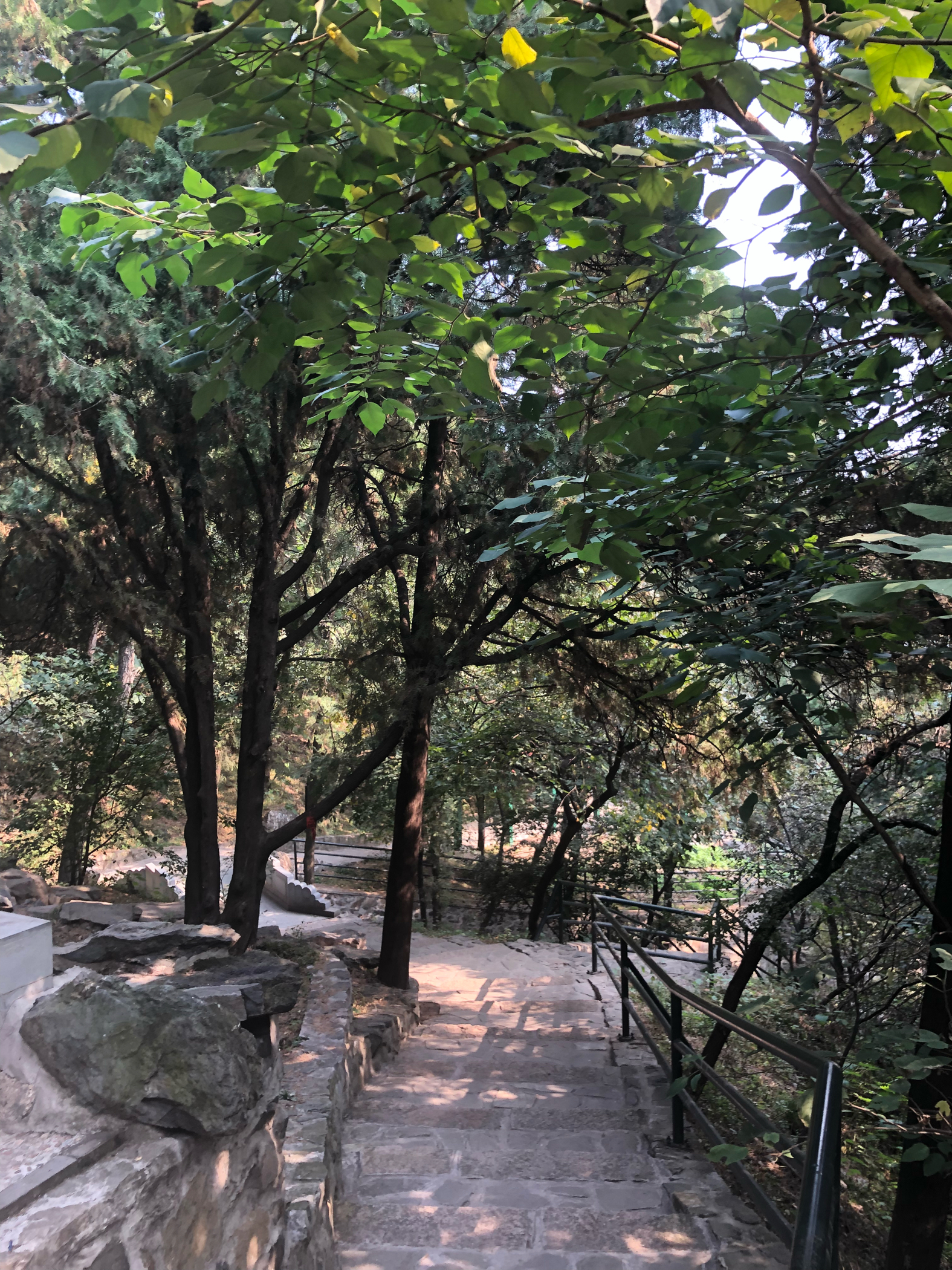 北京颐和园、香山两日游