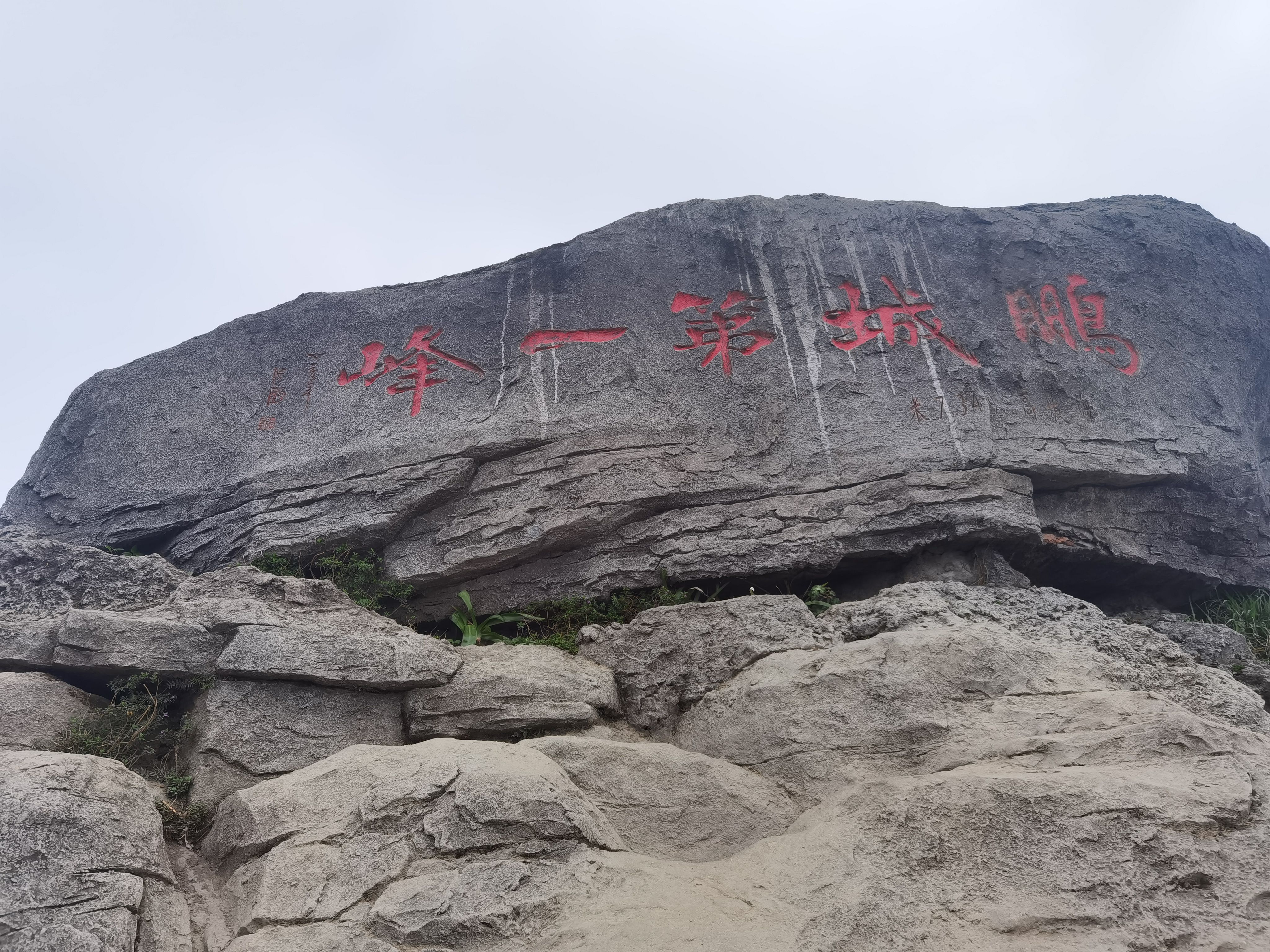 2日游深圳梧桐山毛棉杜鹃花会，三月最美梧桐山，毛棉杜鹃花开