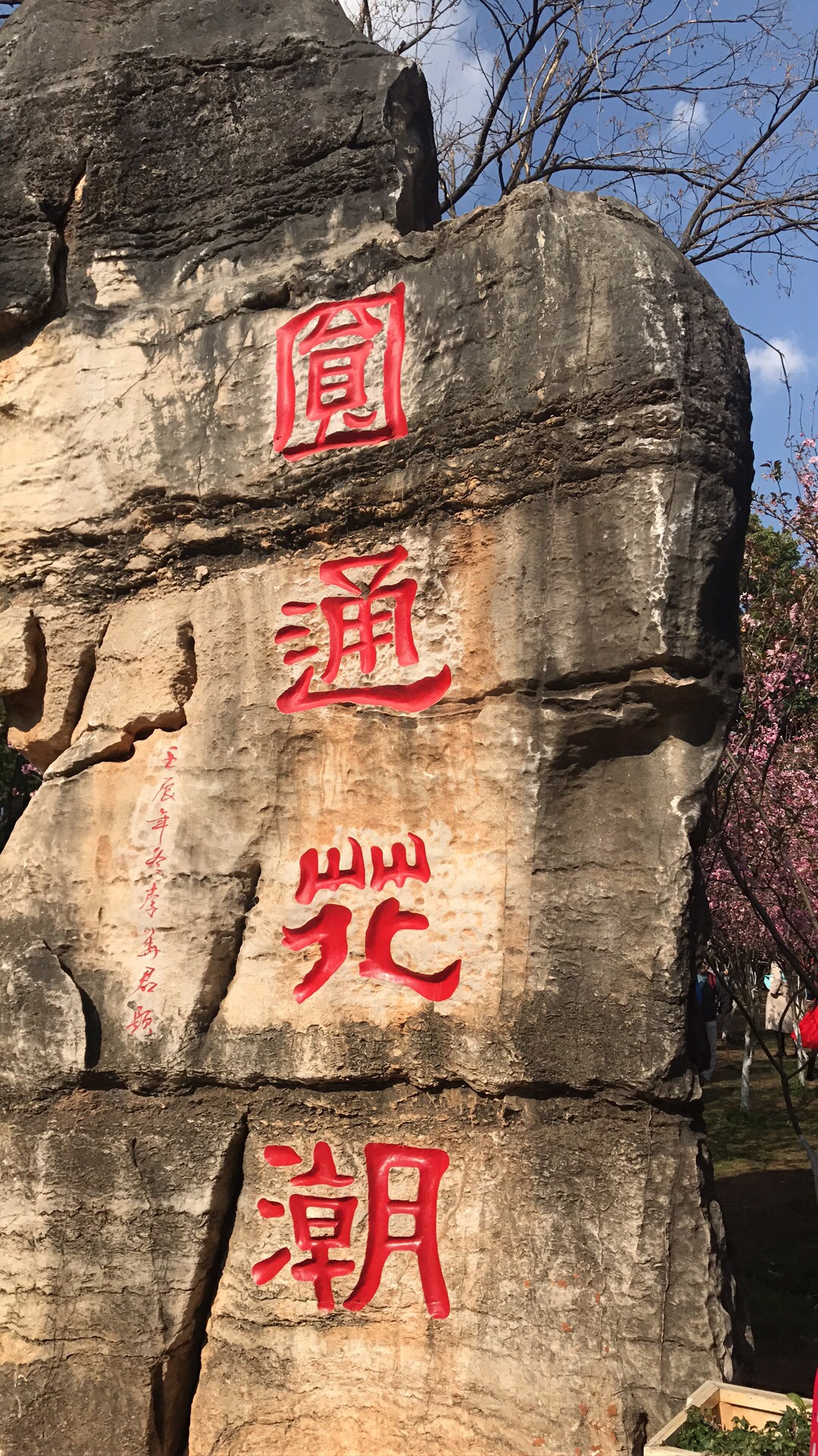1日游-旅游攻略-游记-去哪儿攻略