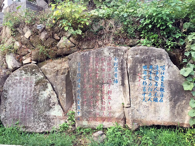 福建福州鼓山鼓岭寿山旗山